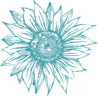 sunflower 4